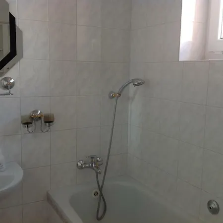 Apartment Apartman Prokopa Holeho