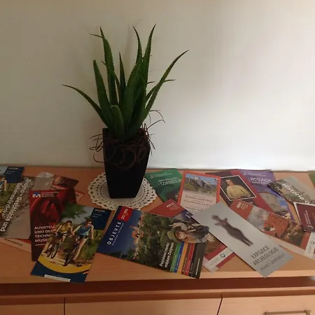 Apartment Apartman Prokopa Holeho Znojmo