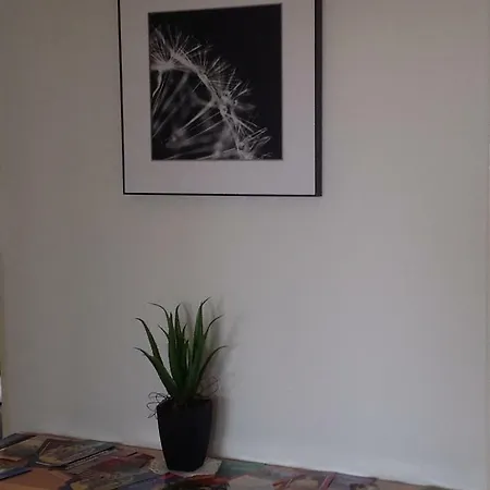 Apartman Prokopa Holeho Apartment *