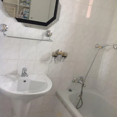 Apartman Prokopa Holeho Apartment